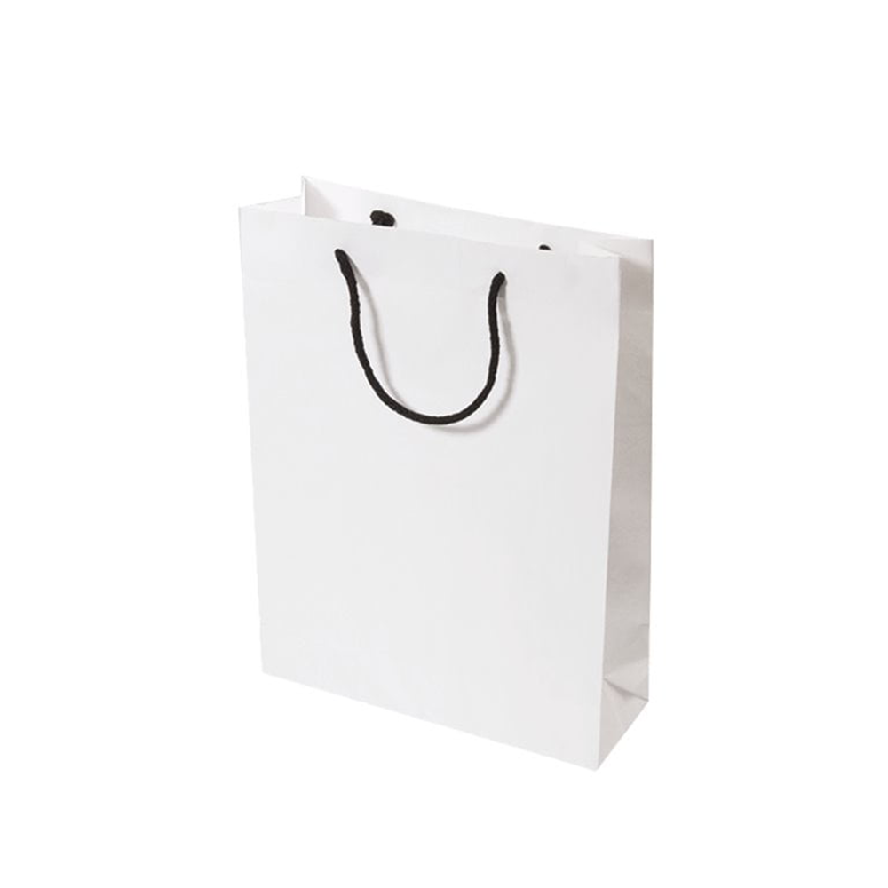 9 x 3 x 15 inch Paper Carry Bags White – Packnest